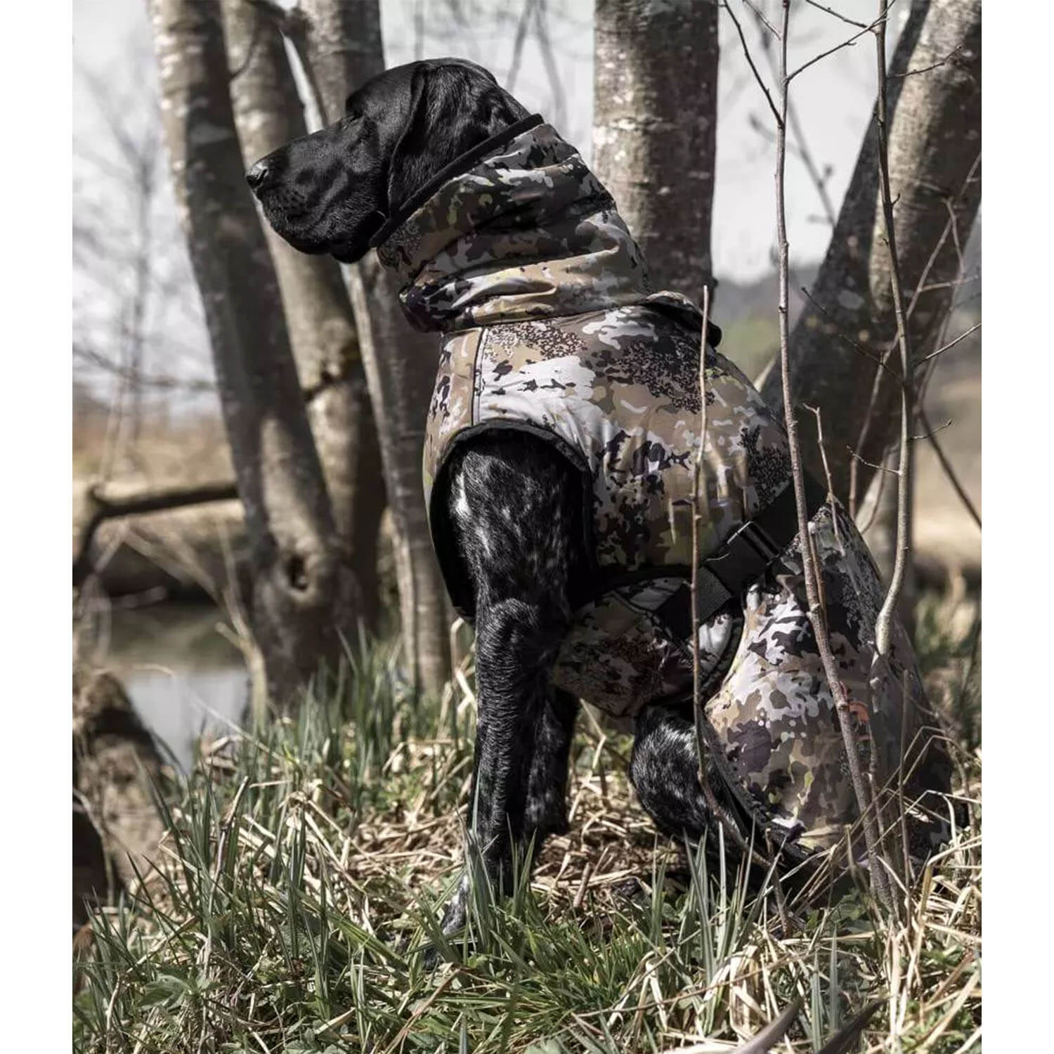 Blaser Hundeponcho (HunTec)