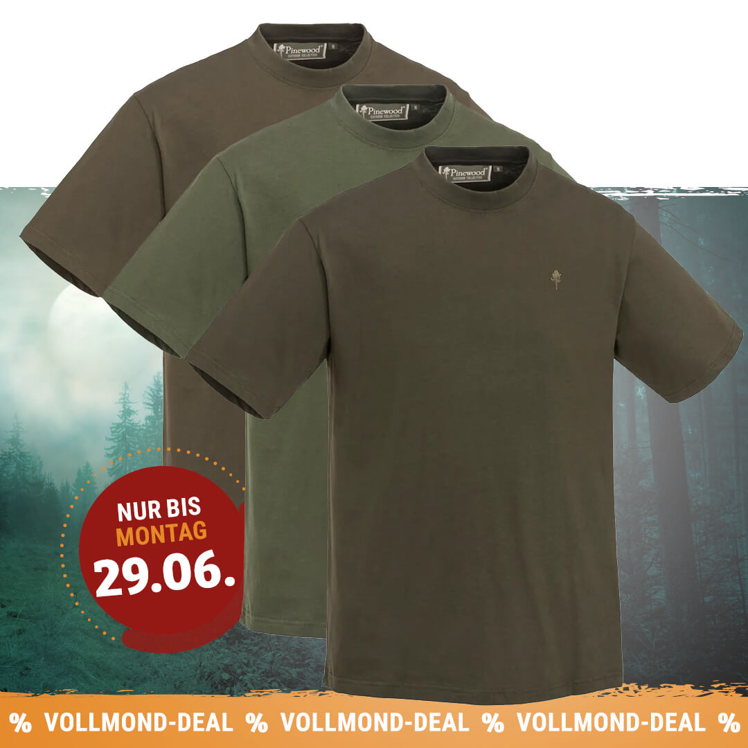Pinewood T-Shirt 3er-Pack