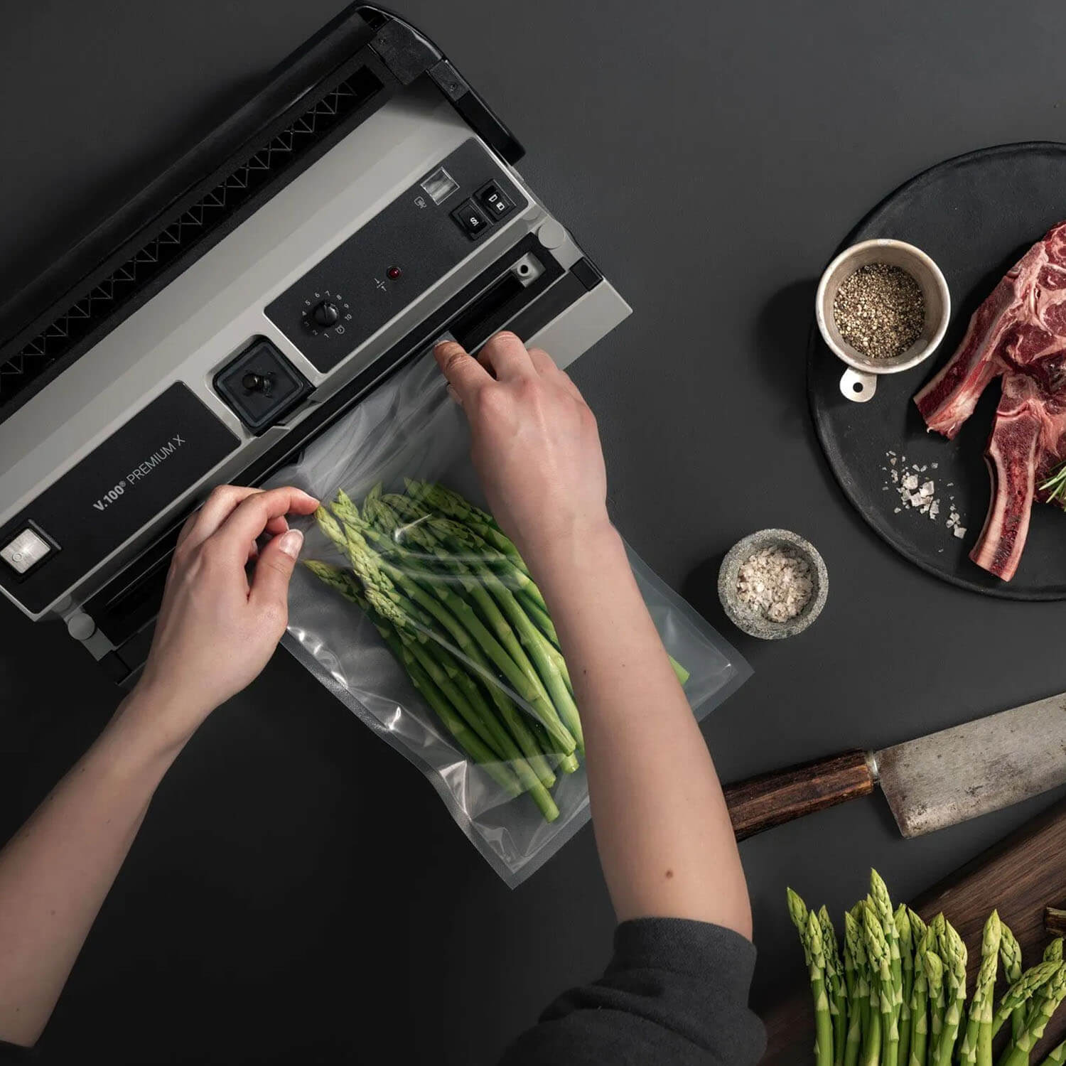 Landig Vakuumierer V.100 Premium X