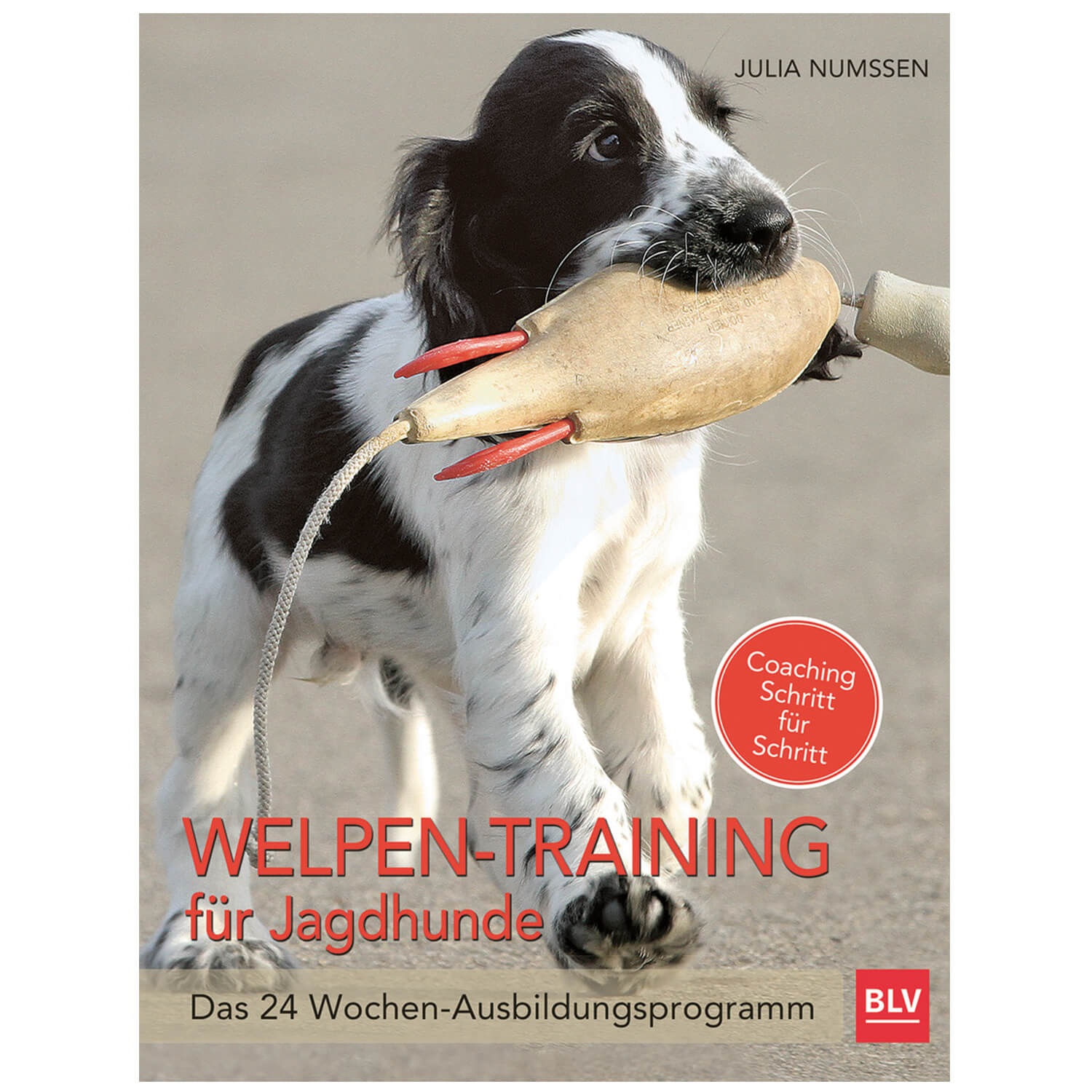 BLV Buch Welpen-Training für Jagdhunde
