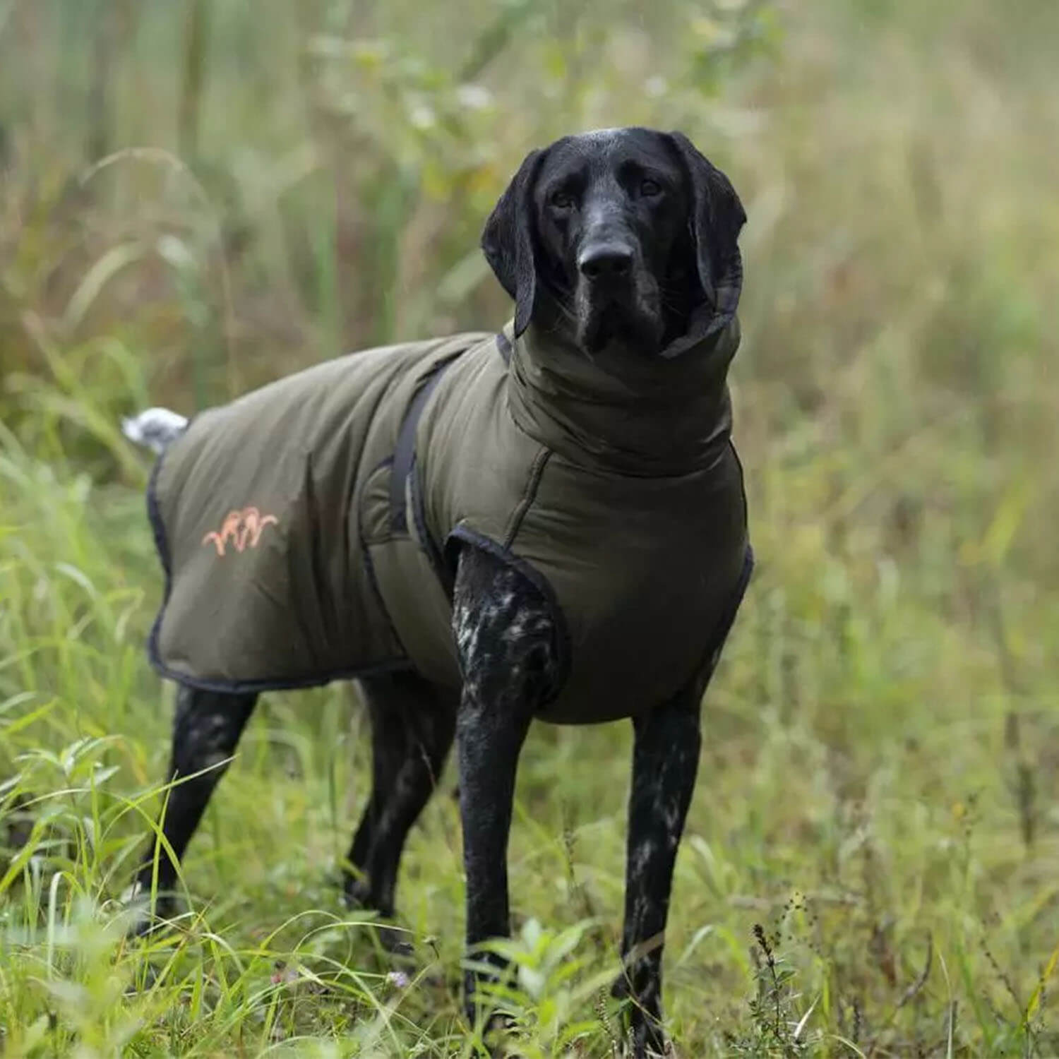 Blaser Hundeponcho (Grün)