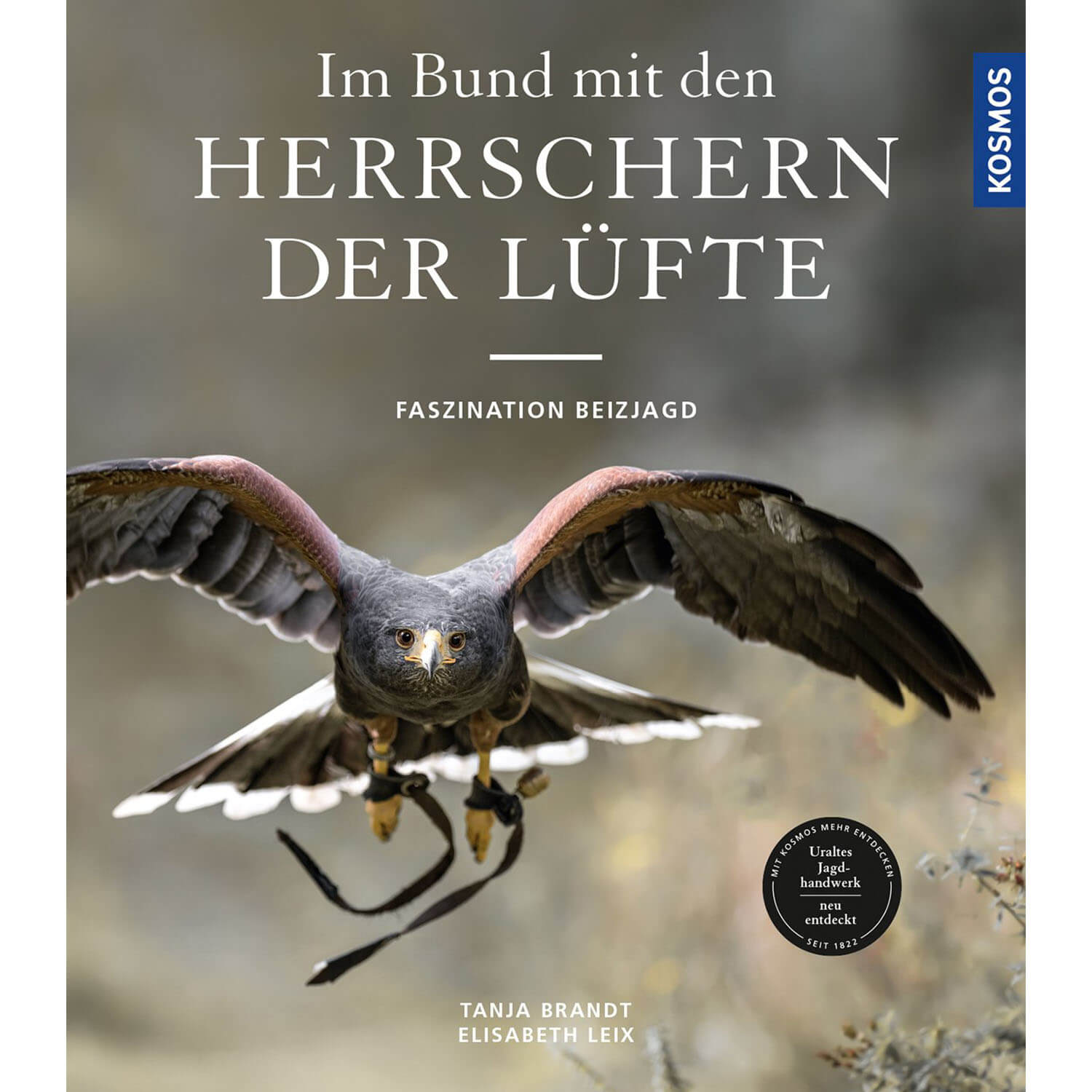 Im Bund mit den Herrschern der Lüfte - Buch - Brandt & Leix