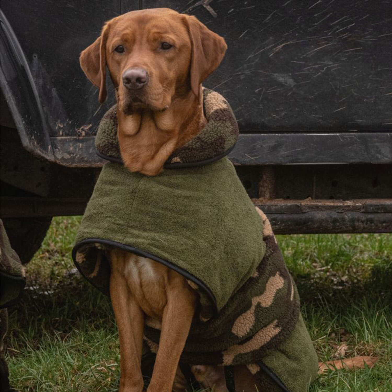Actionfactory Hundecape Warmup Classic (wendbar)