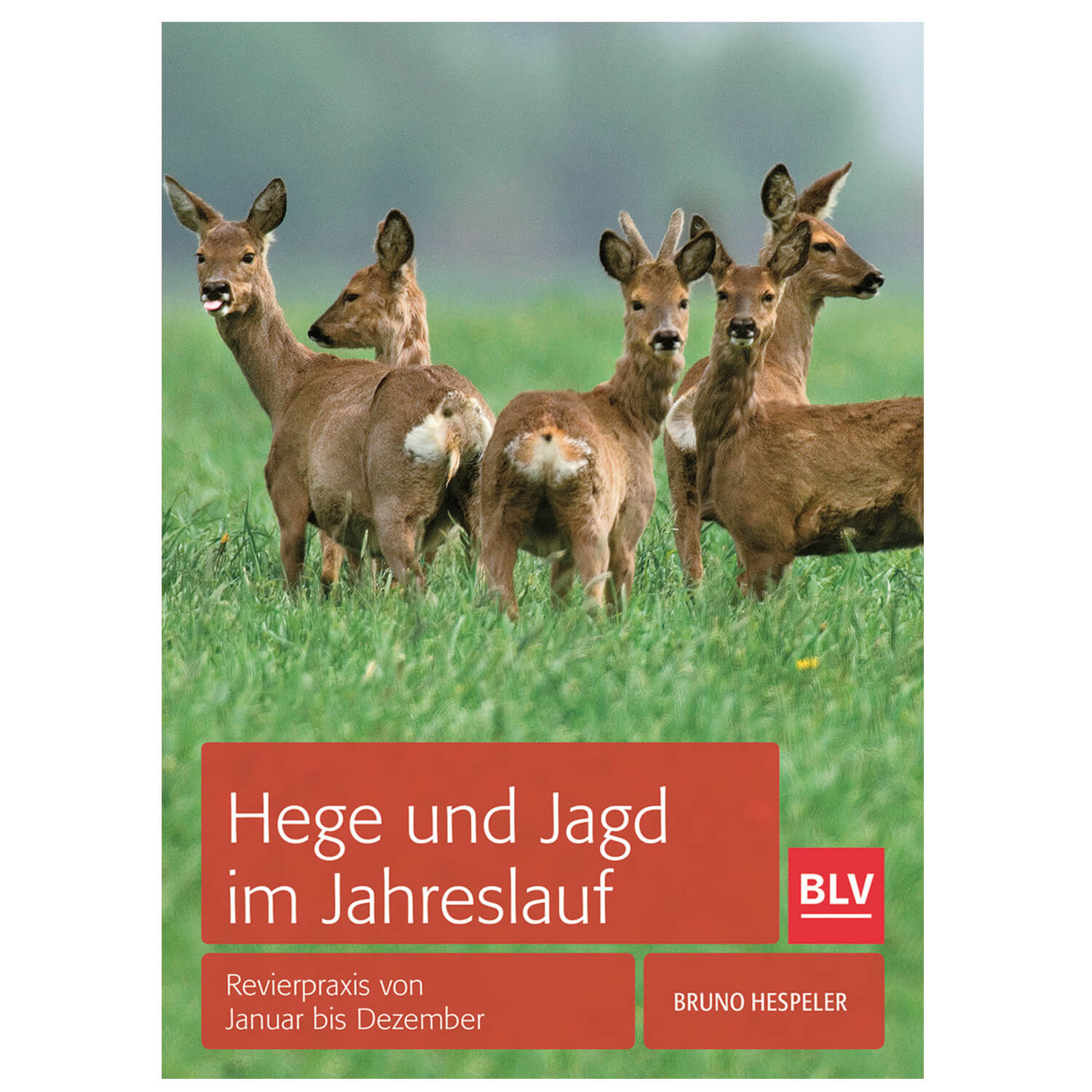 BLV Buch Hege und Jagd im Jahresverlauf - Jagdbücher