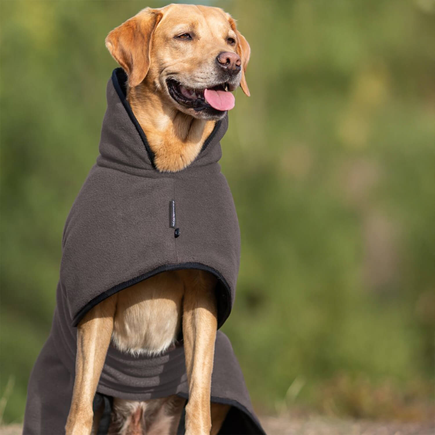 Actionfactory Hundecape Warmup Classic (Mocca)