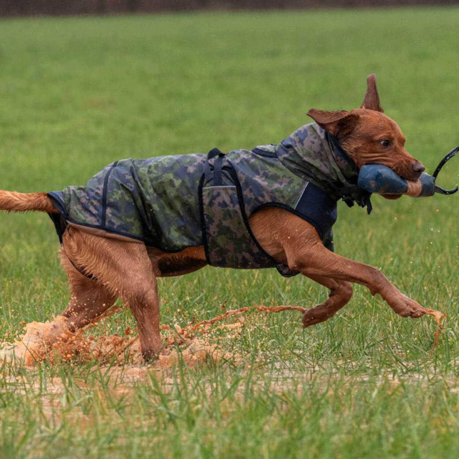 Actionfactory Hundecape Elastic Light (Camo)