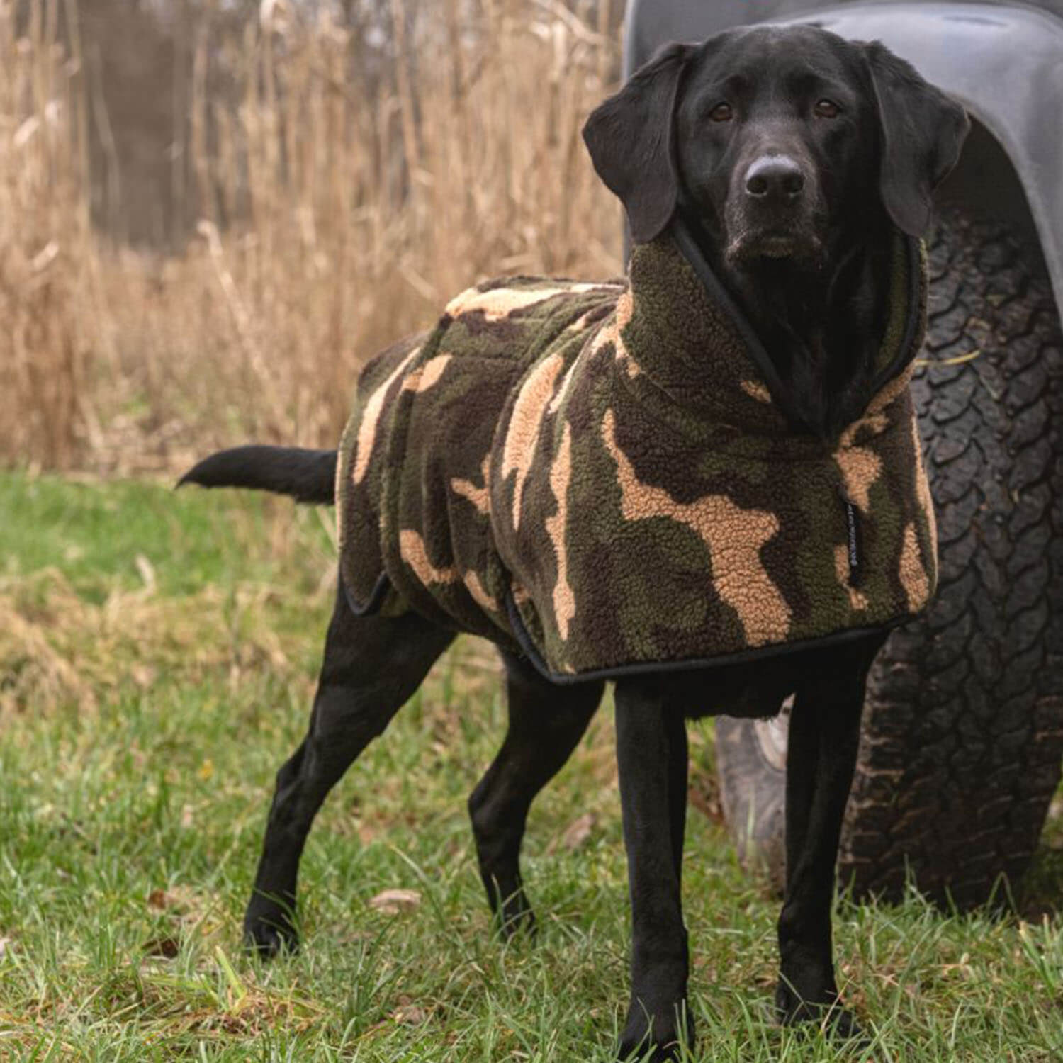 Actionfactory Hundecape Warmup Classic (wendbar) - Hundezubehör