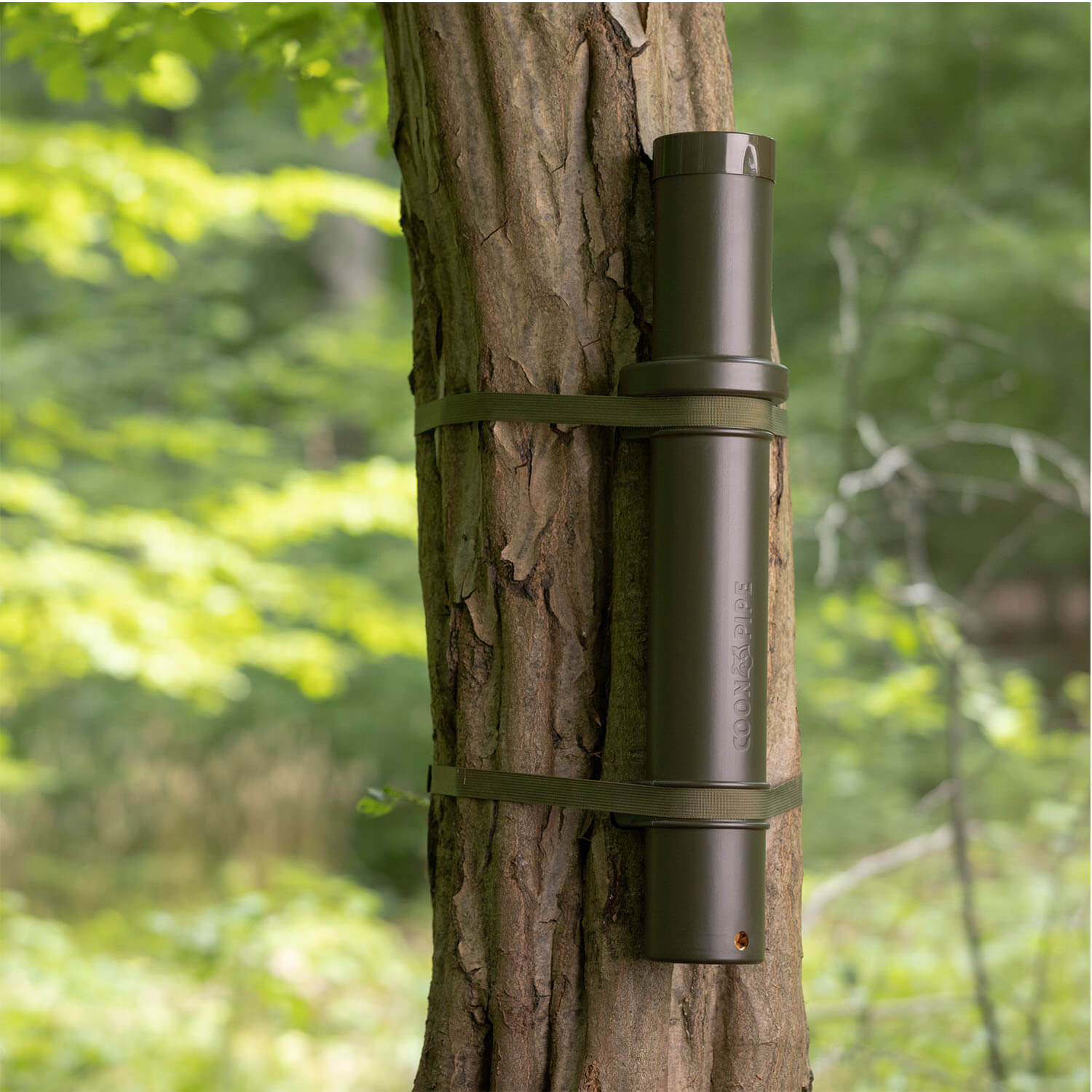 Eurohunt Waschbärfütterung Coonpipe