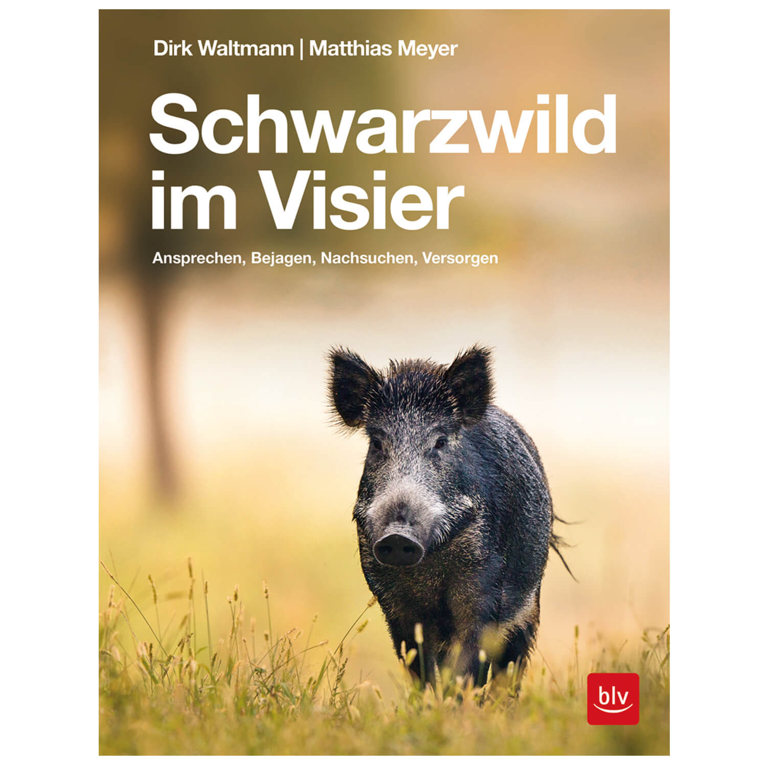 BLV Buch Schwarzwild im Visier - BLV