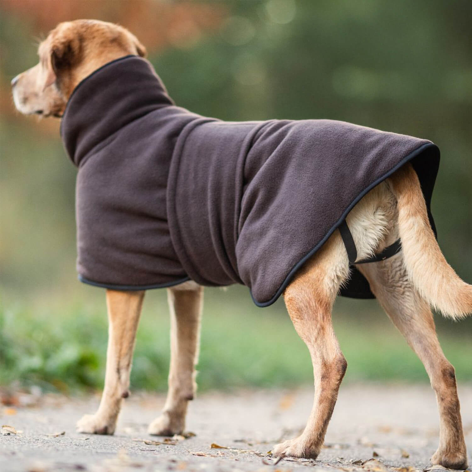 Actionfactory Hundecape Warmup Classic (Mocca)