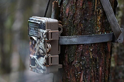 Wildkamera kaufen Wildkameras für die Jagd