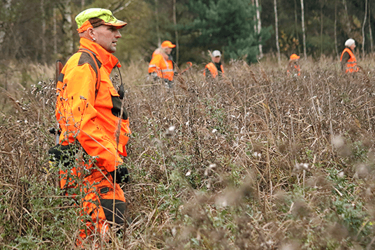Unterschied Drückjagd und Treibjagd