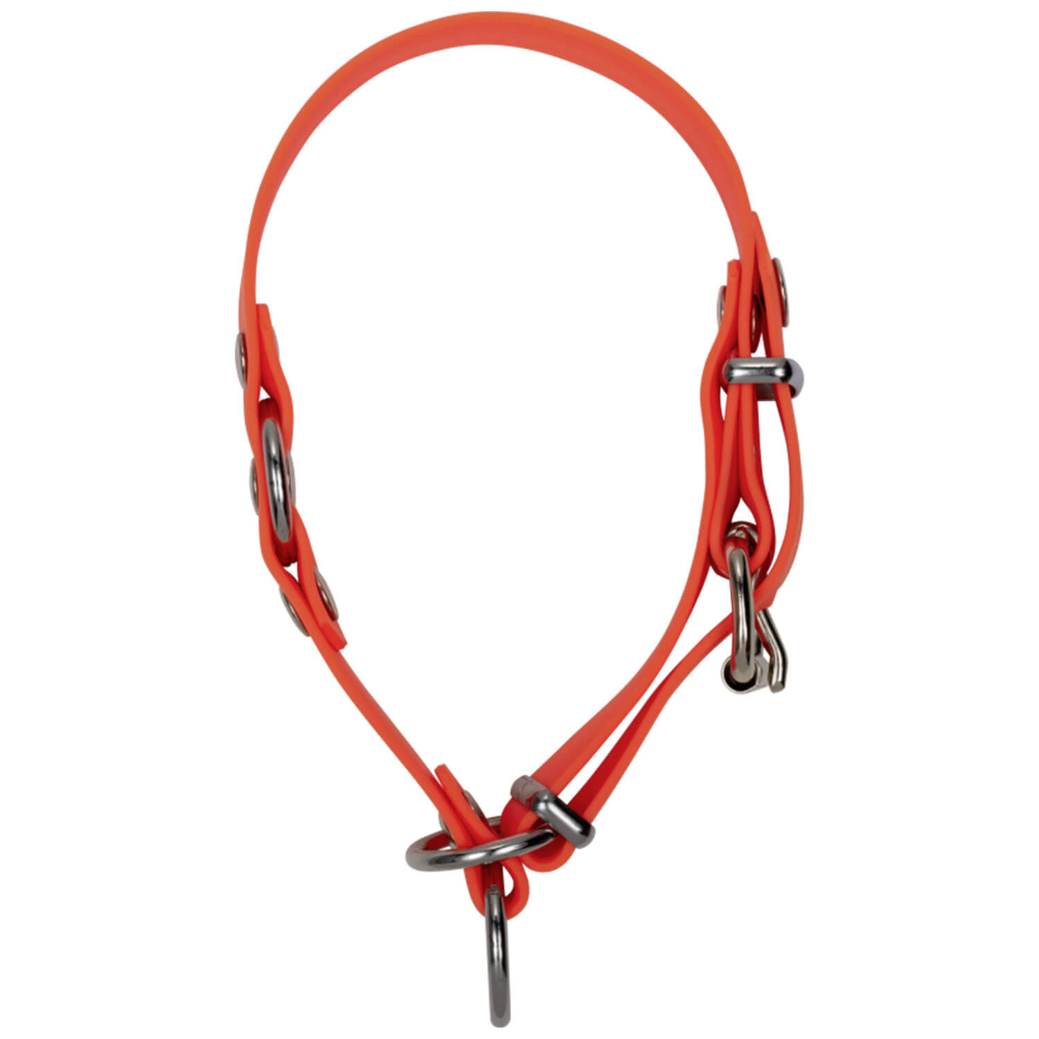 Blaser Hundehalsung Professional (Orange) - Jagdhund
